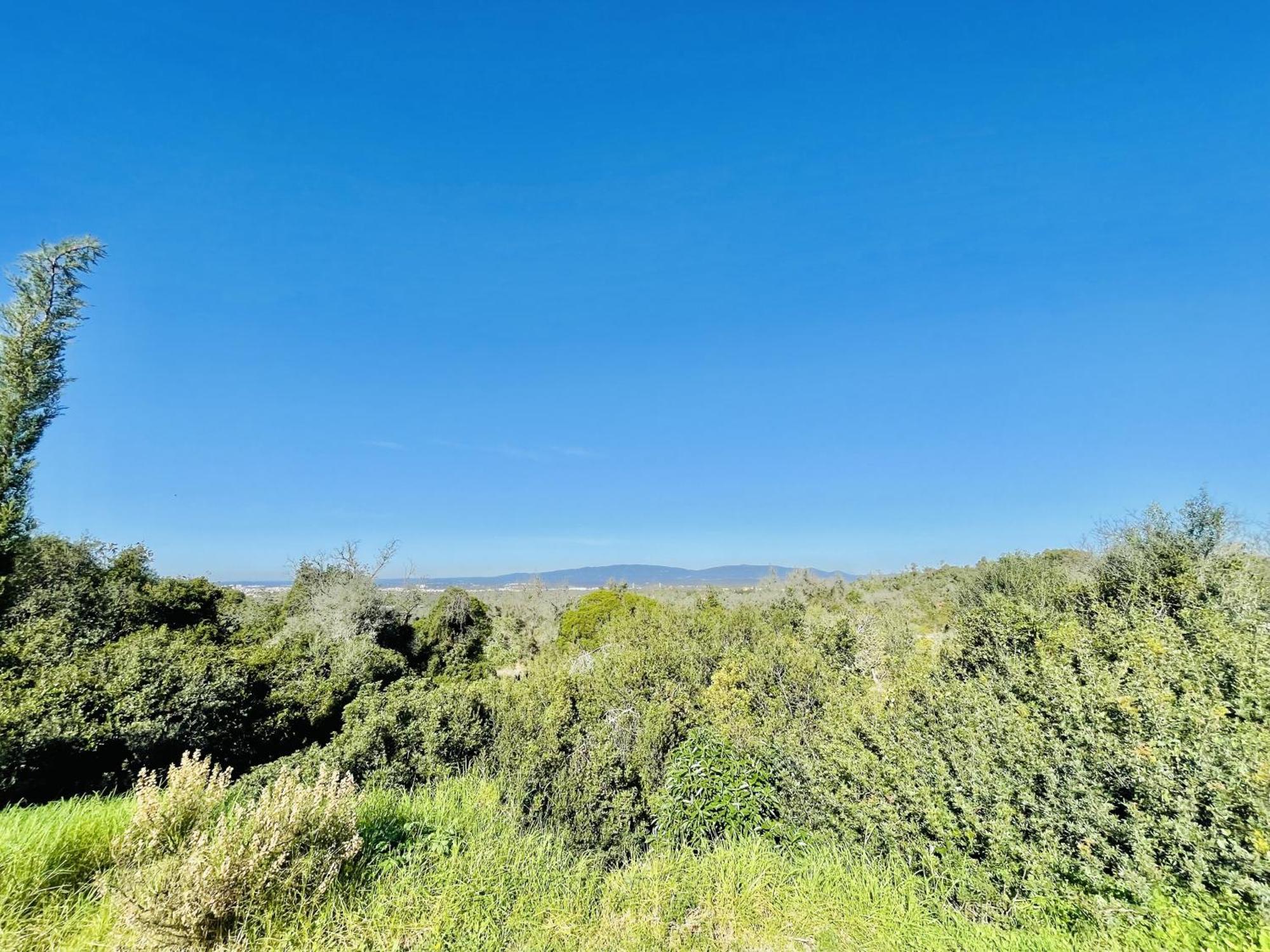 Lavanda - 2 Bedrooms - 3 Level Pool - Garden - Beach 1Km Estômbar Εξωτερικό φωτογραφία